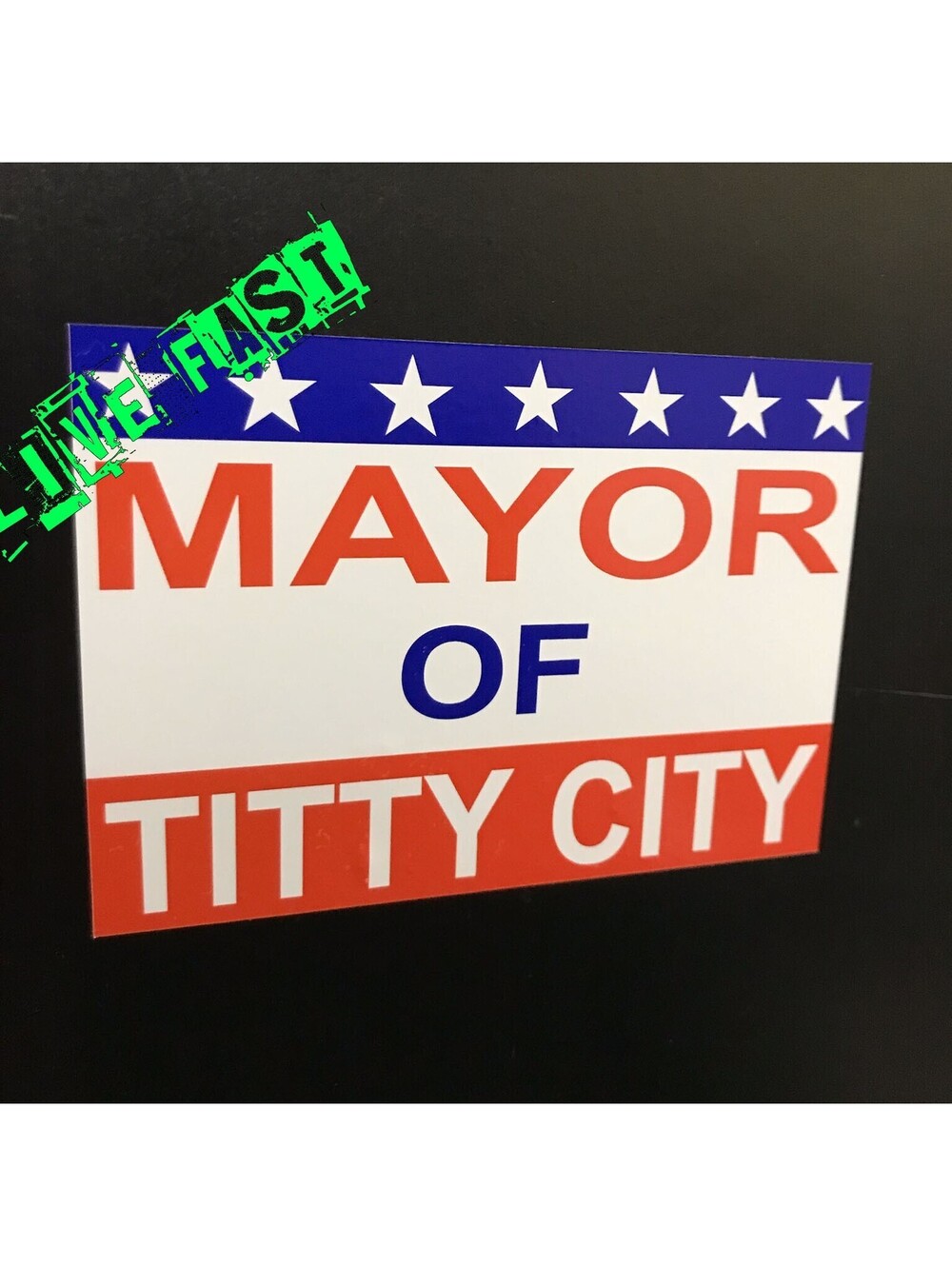 MAYOR OF TITTY CITY POSTER BUMPER STICKER funny political campaign sign parody